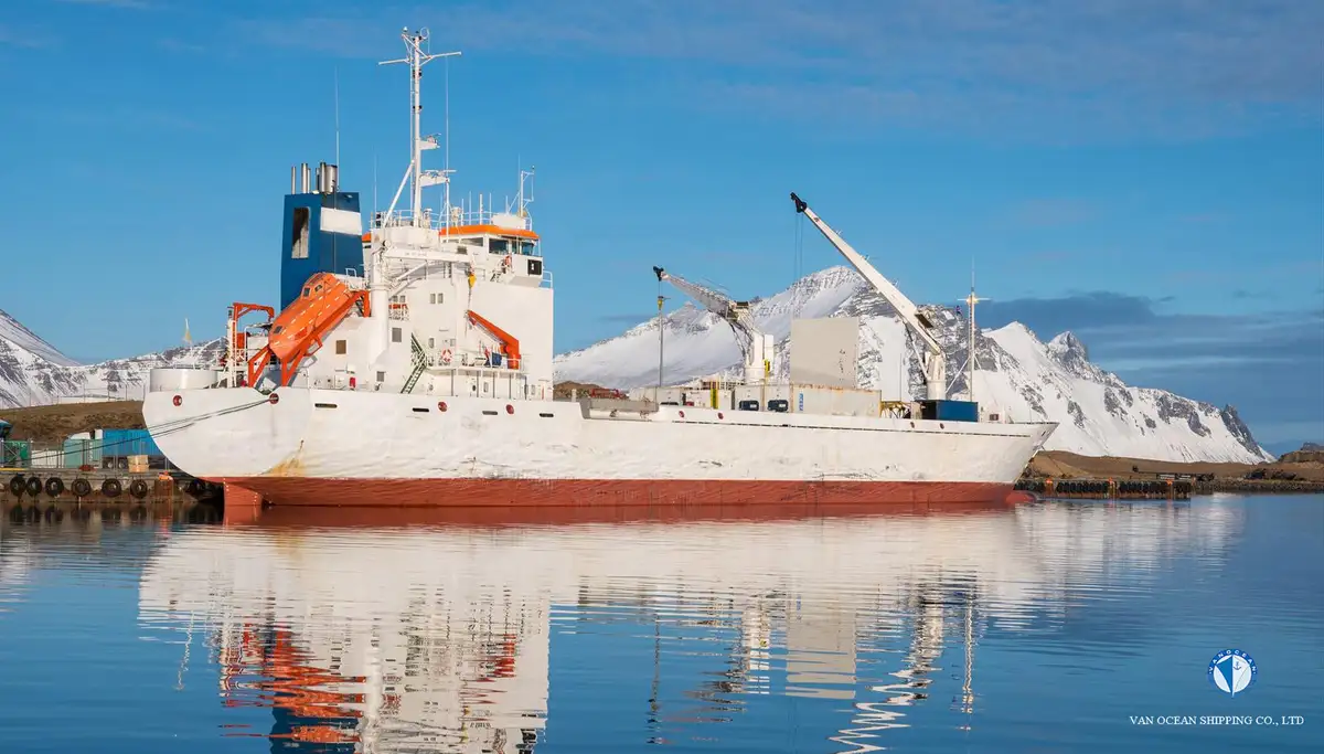 Reefer ship for sale