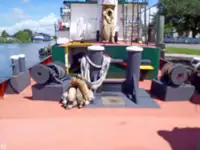 Towboat for sale