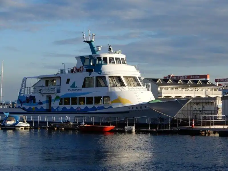 Cruise ship for sale