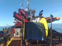 Towboat for sale