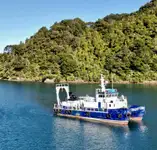 Catamaran for sale