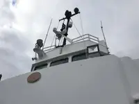 Workboats for sale