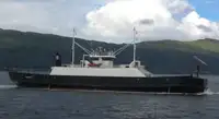 Ro-Ro ship for sale