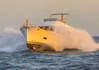 Trawler for sale