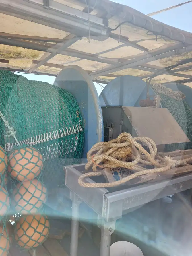 Live fish carrier for sale