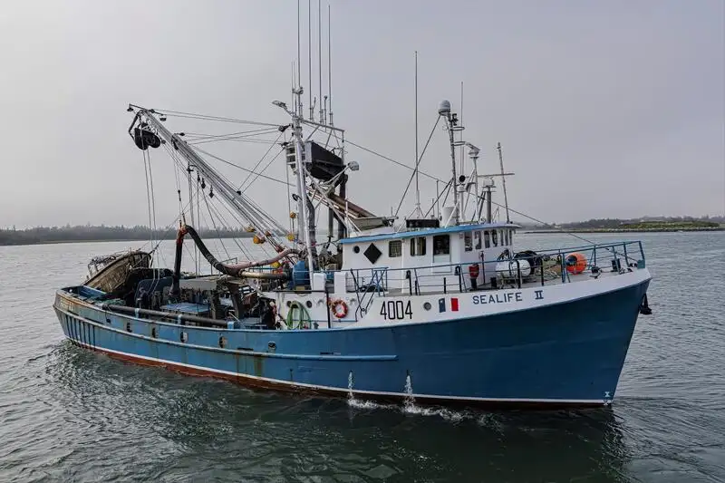 Purse seiner for sale