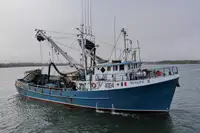 Purse seiner for sale