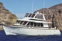 Cruise ship for sale