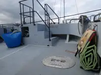Catamaran for sale