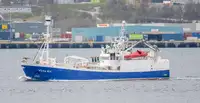 Purse seiner for sale