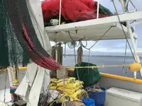 Trawler for sale
