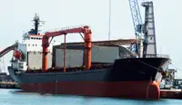 Bulk carrier for sale