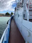 Towboat for sale