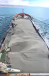 Container ship for sale