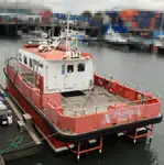 Catamaran for sale