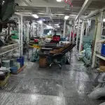 Purse seiner for sale