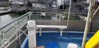 Catamaran for sale