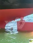 Bulk carrier for sale