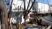 Trawler for sale