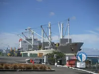 Reefer ship for sale