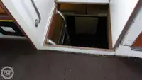 Dive support for sale