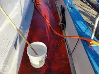 Ferry vessel for sale