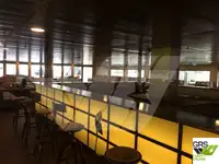 Ro-Ro ship for sale
