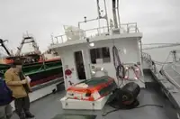 Pilot boat for sale