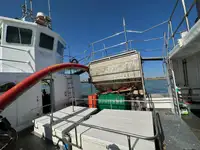 Dredger for sale