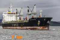 Bulk carrier for sale