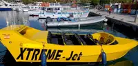 Cruise ship for sale