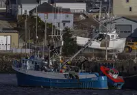 Purse seiner for sale