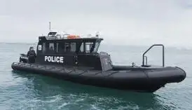 Rigid inflatable boat for sale
