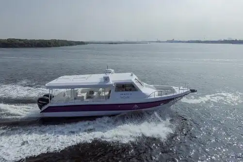 Cruise ship for sale