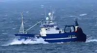 Trawler for sale
