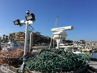 Trawler for sale