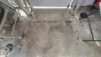 Cruise ship for sale