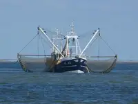 Trawler for sale