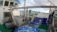 Beam trawler for sale