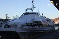 Catamaran for sale