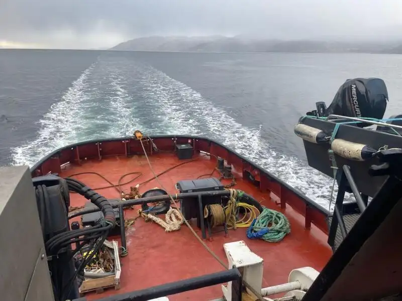 Towboat for sale