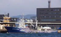 Purse seiner for sale
