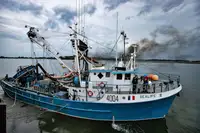 Purse seiner for sale