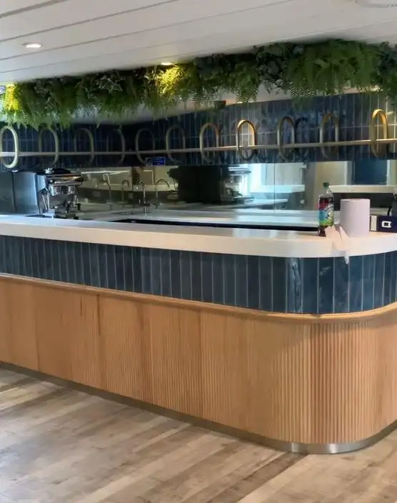 Cruiseferry for sale