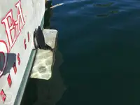 Trawler for sale