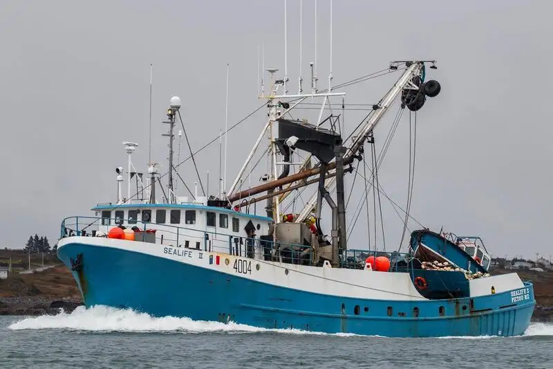 Purse seiner for sale