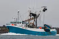 Purse seiner for sale