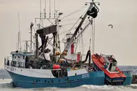 Purse seiner for sale