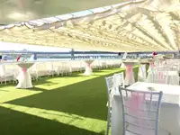 Cruise ship for sale