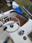 Cruise ship for sale